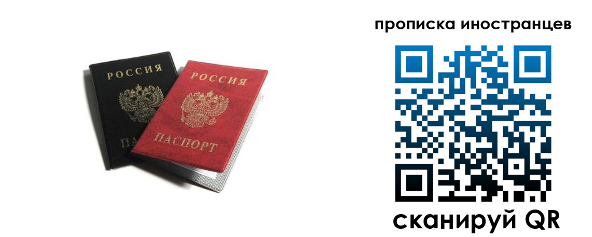 прописка законно в Ногинске